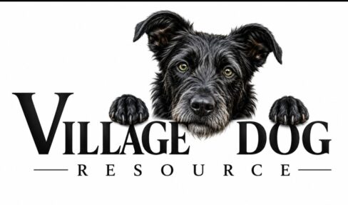 Village Dog Resource